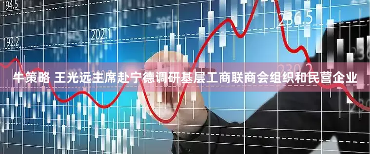 牛策略 王光远主席赴宁德调研基层工商联商会组织和民营企业