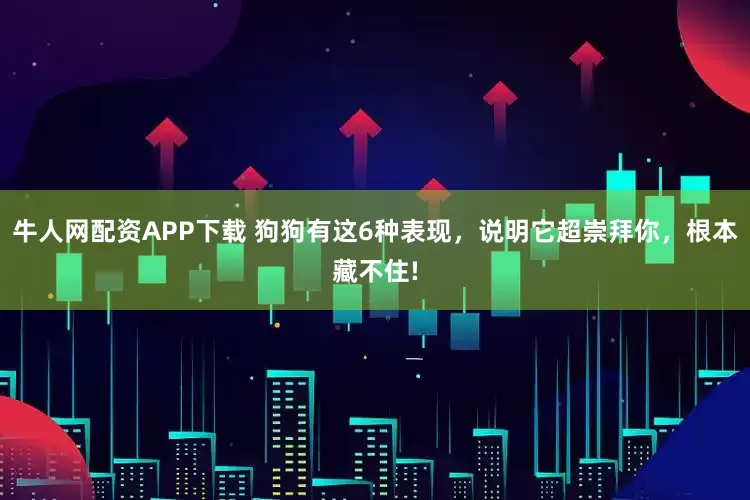 牛人网配资APP下载 狗狗有这6种表现，说明它超崇拜你，根本藏不住!